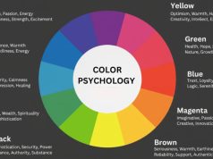 The Psychology of Color in Branding: What Every Marketer Should Know Color Psychology