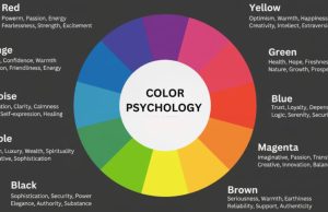 The Psychology of Color in Branding: What Every Marketer Should Know Color Psychology